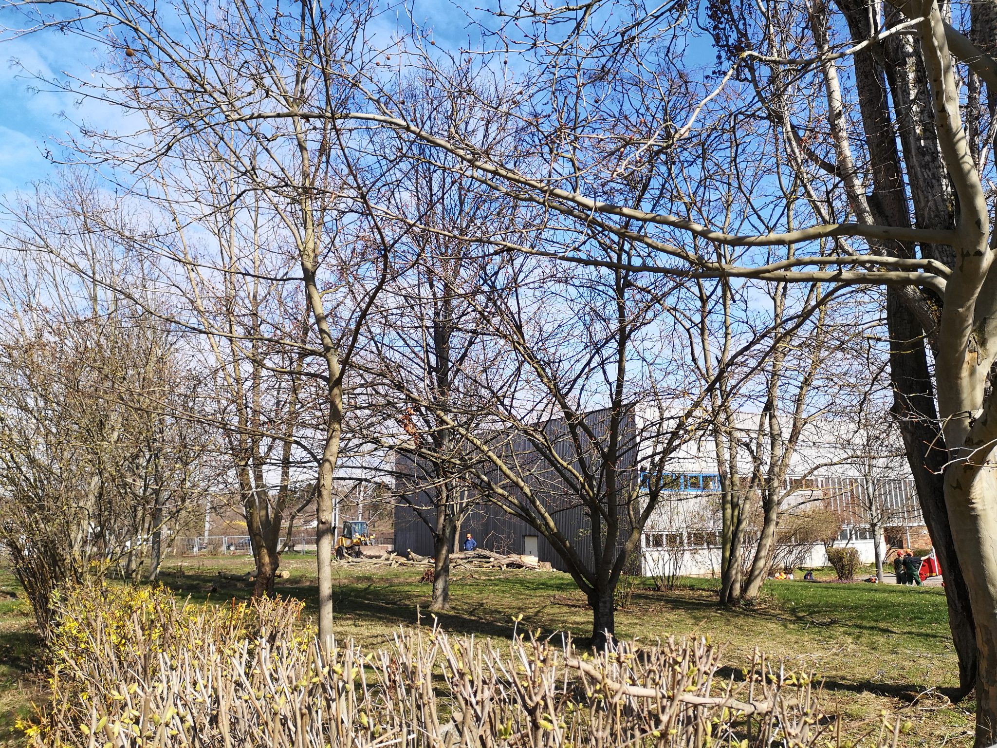 remo-grothe-neue-schule-magdeburg