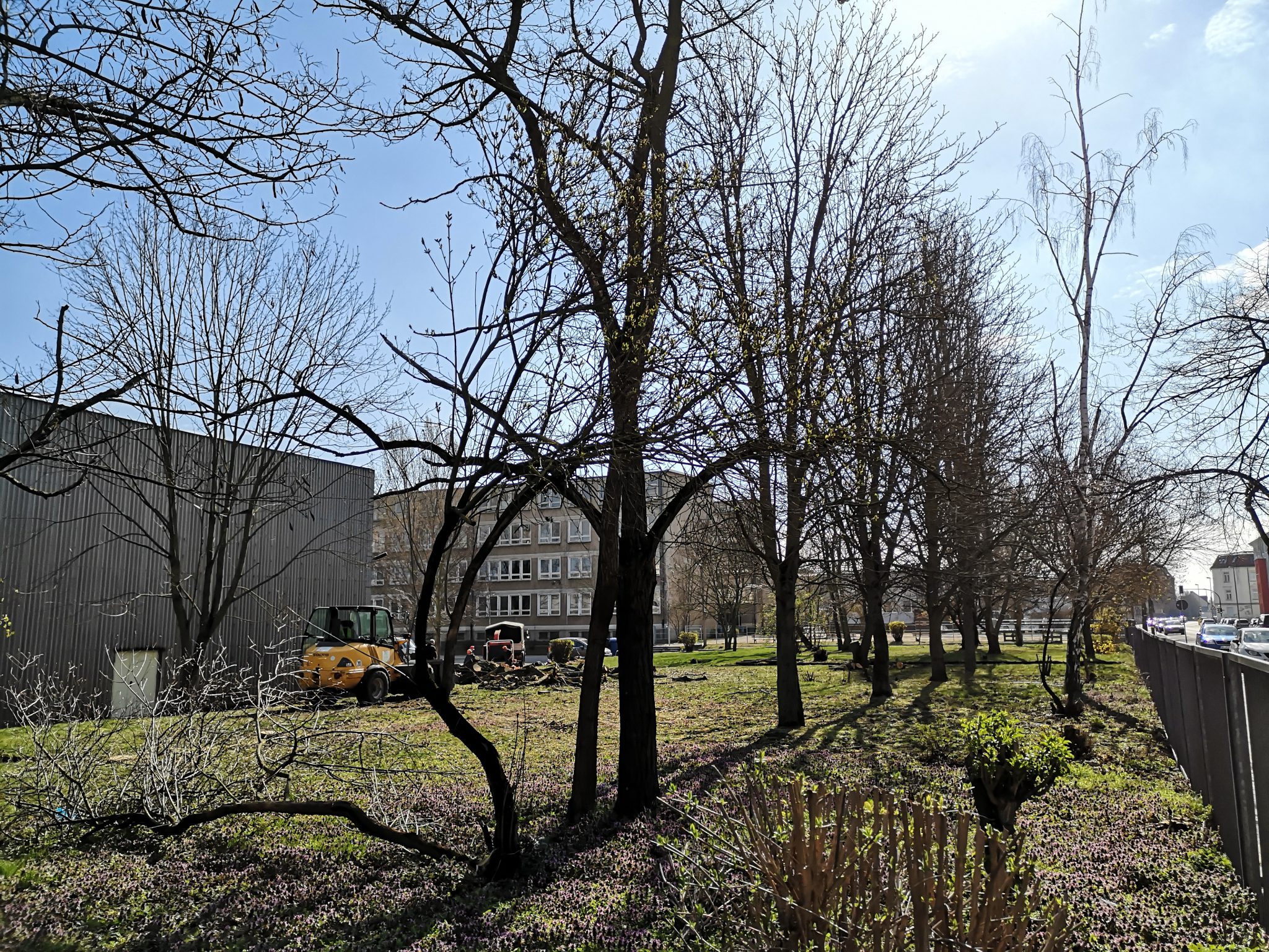 bautagebuch-neue-schule-magdeburg